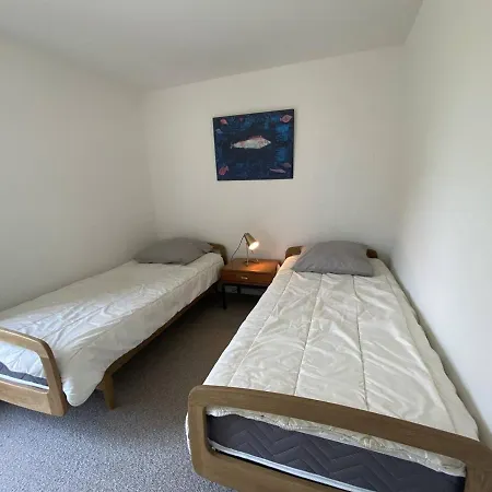 Neuve En Bois Avec Wifi Et Jardin, A Proximite De La De Trestraou, - Fr-1-368-353 Holiday home *